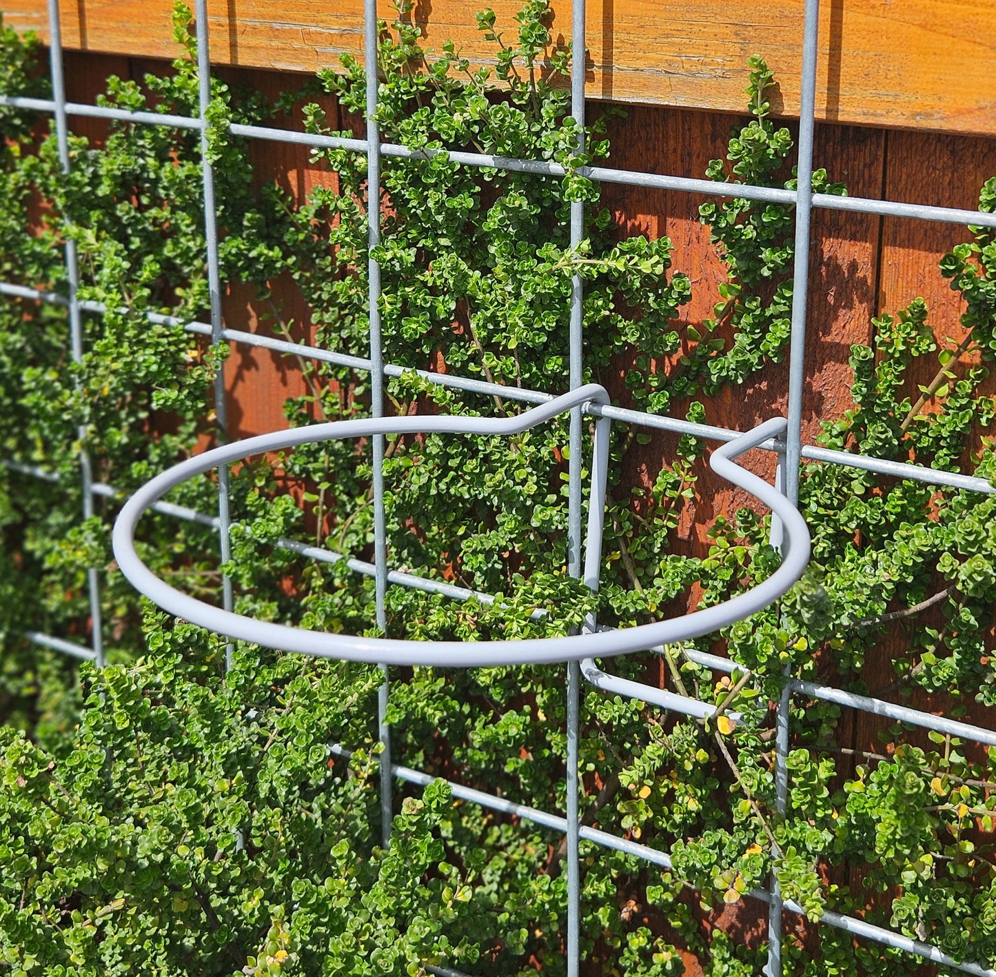 Hog Wire Planter Hanger - 8.5"-TLR Creations