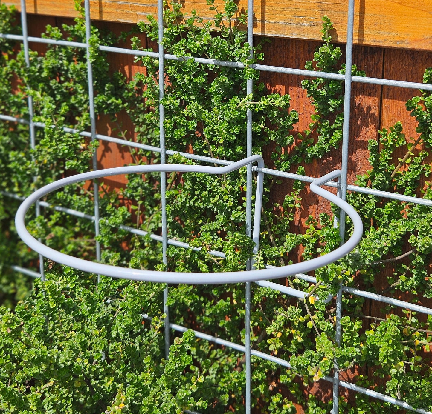 Hog-Wire Planter Hanger - 9.5"-TLR Creations