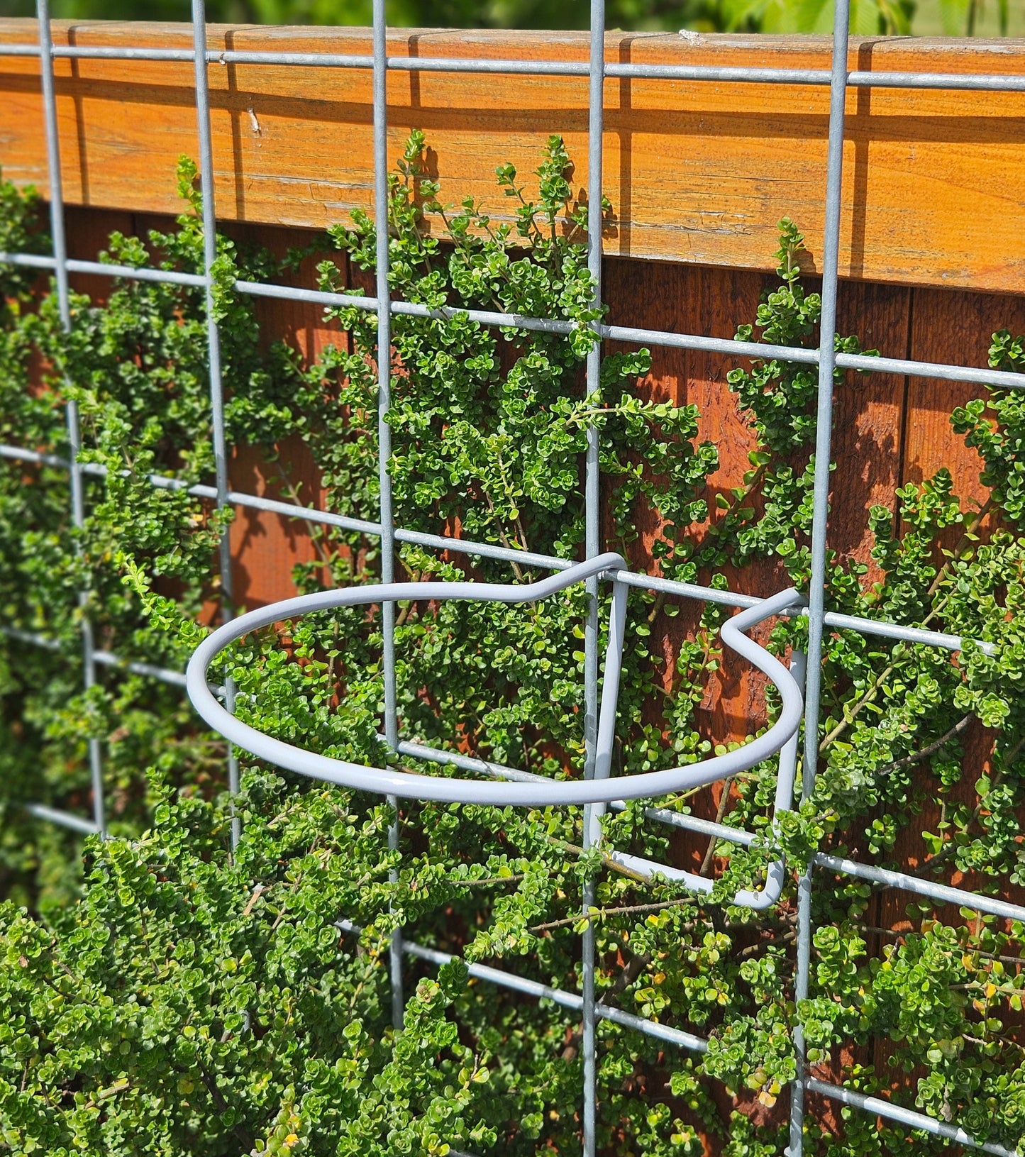 Hog-Wire Planter Hanger - 7.5"-TLR Creations
