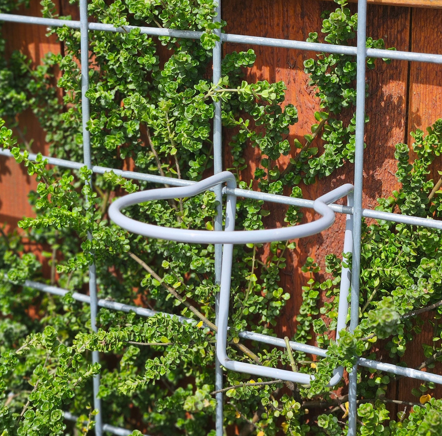 Hog-Wire Planter Hanger - 5.5"-TLR Creations