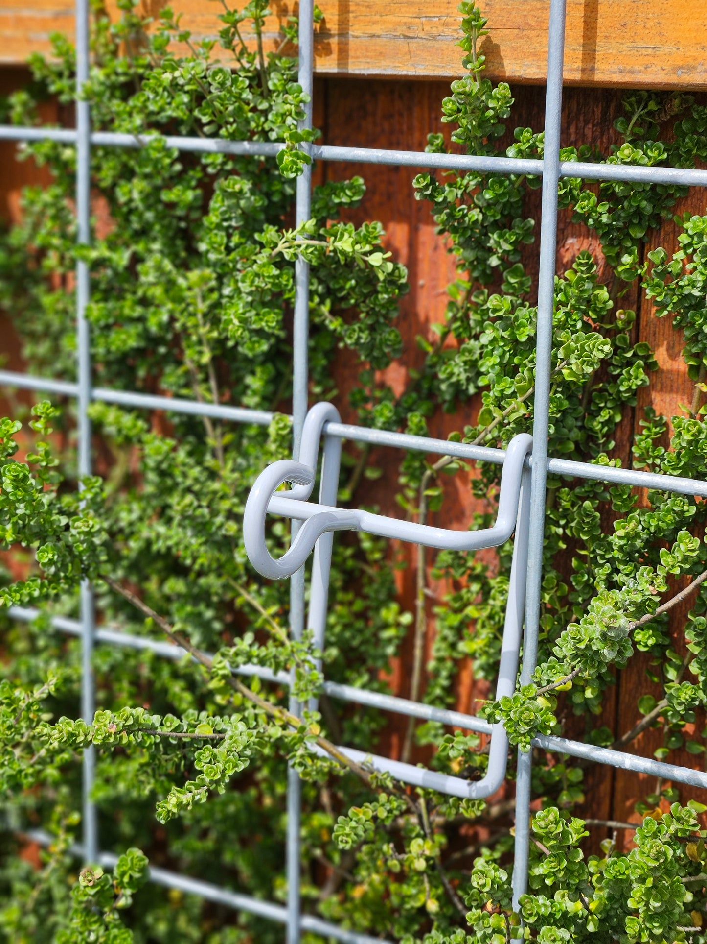 Hog-Wire Horizontal Hanger - 3"-TLR Creations