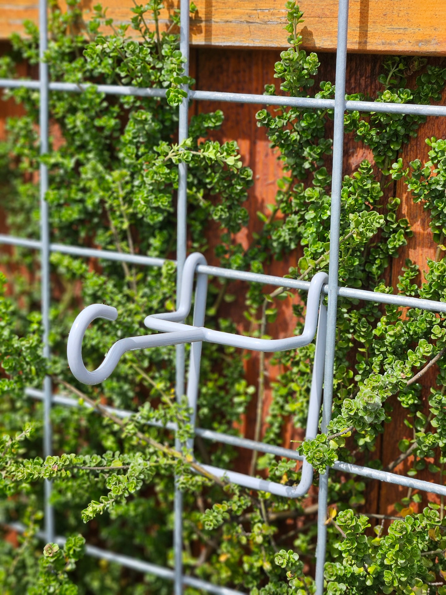 Hog-Wire Horizontal Hanger - 6"-TLR Creations