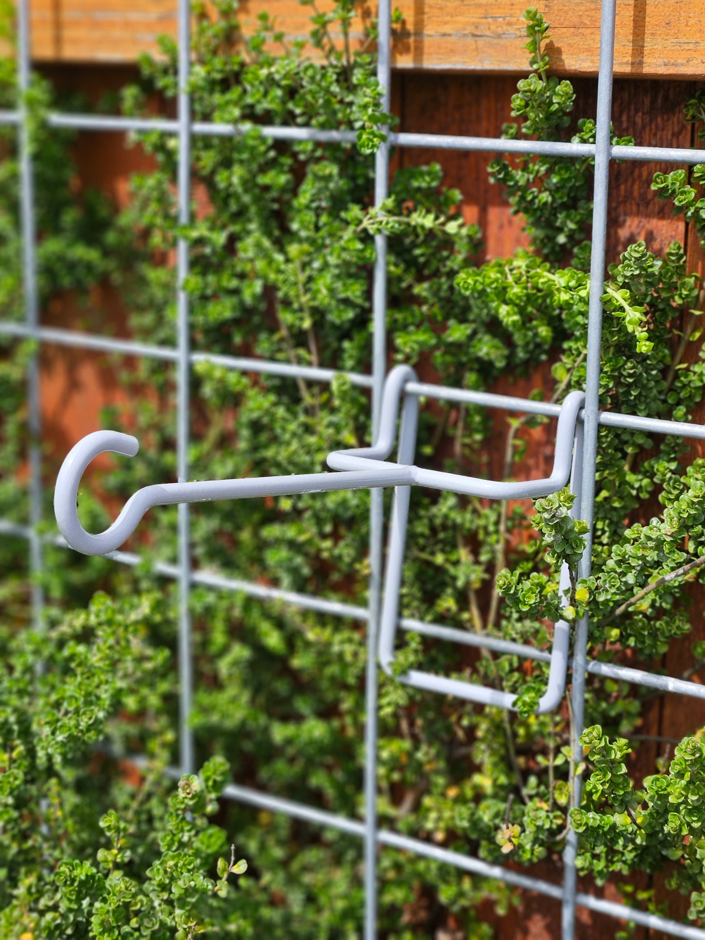 Hog-Wire Horizontal Hanger - 9"-TLR Creations