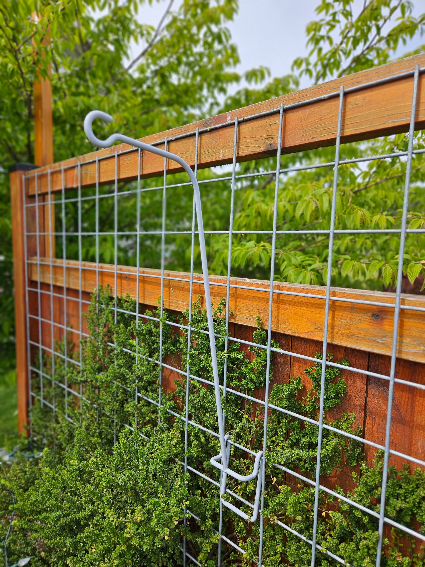 Hog-Wire Vertical Hanger - 20"-TLR Creations