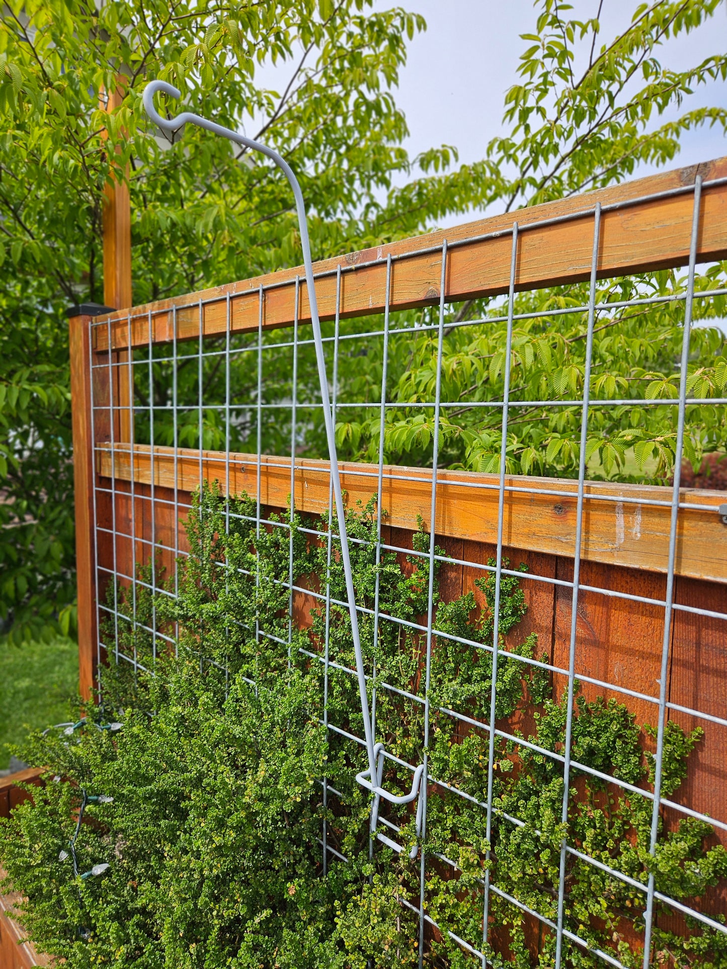 Hog-Wire Vertical Hanger - 30"-TLR Creations