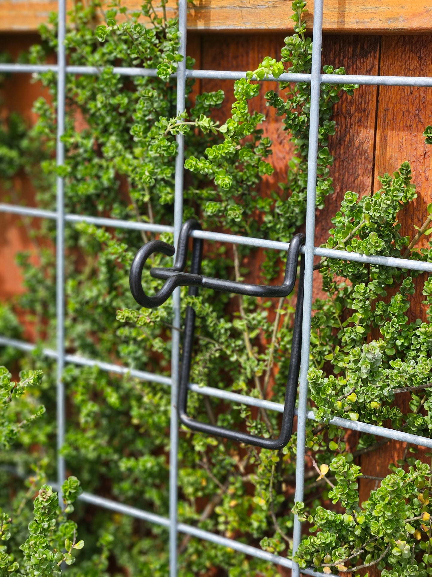 Hog-Wire Horizontal Hanger - 3"-TLR Creations