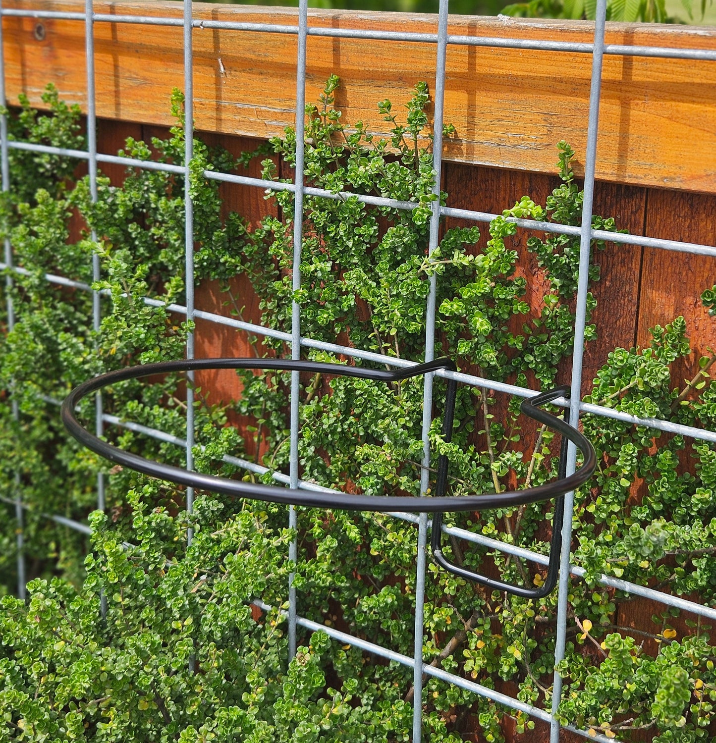 Hog-Wire Planter Hanger - 9.5"-TLR Creations