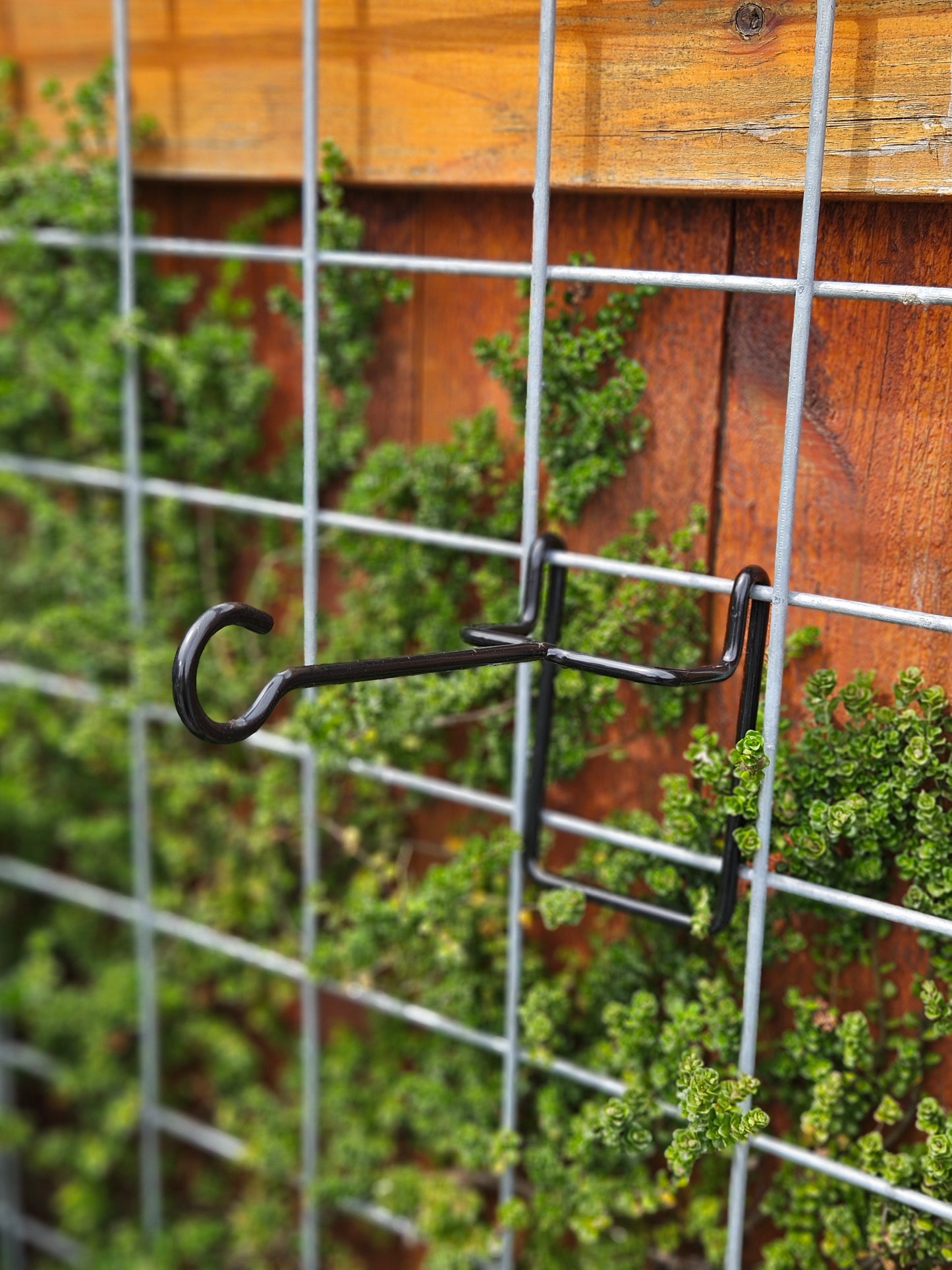 Hog-Wire Horizontal Hanger - 9"-TLR Creations