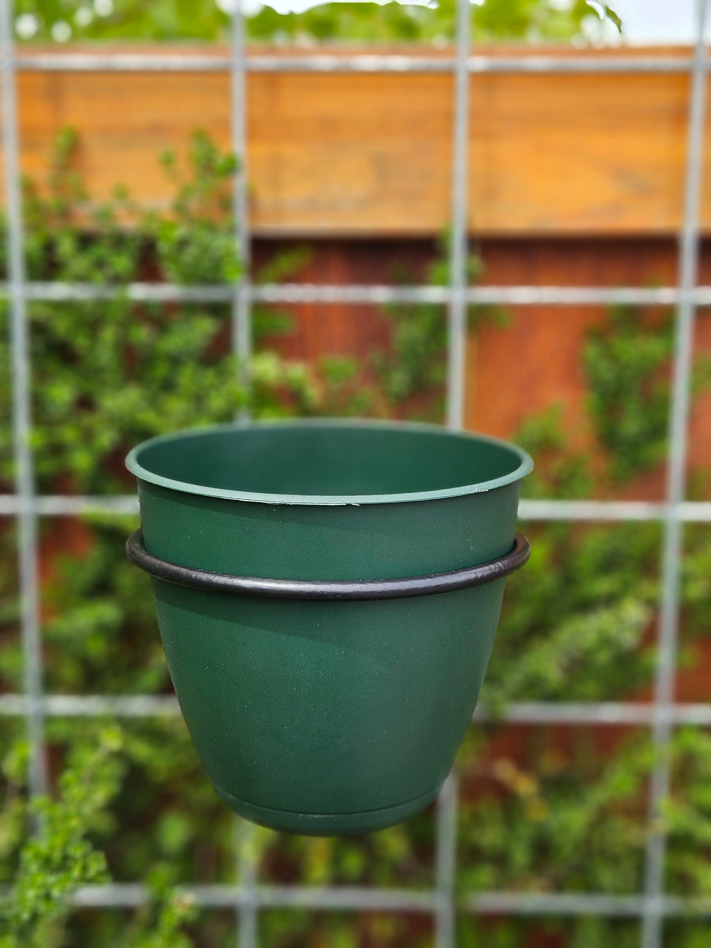 Dayton Planter - 6"-TLR Creations