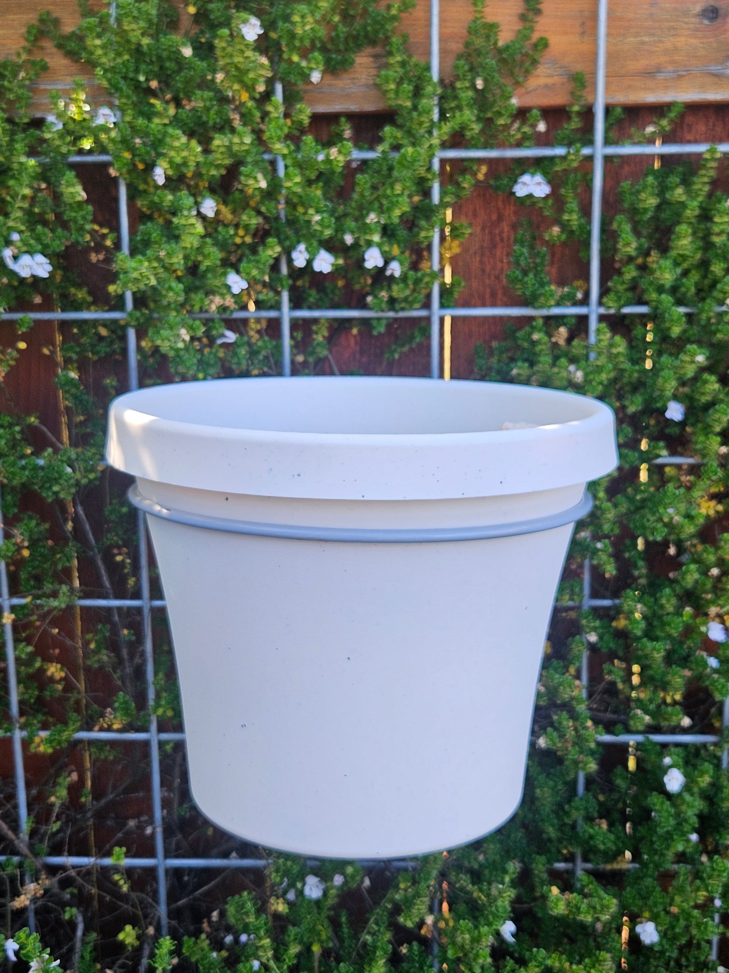 Terra Living Planter - 10"