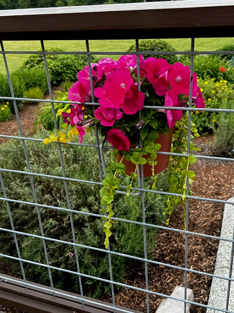 Customer in Freeland beautiful flower display