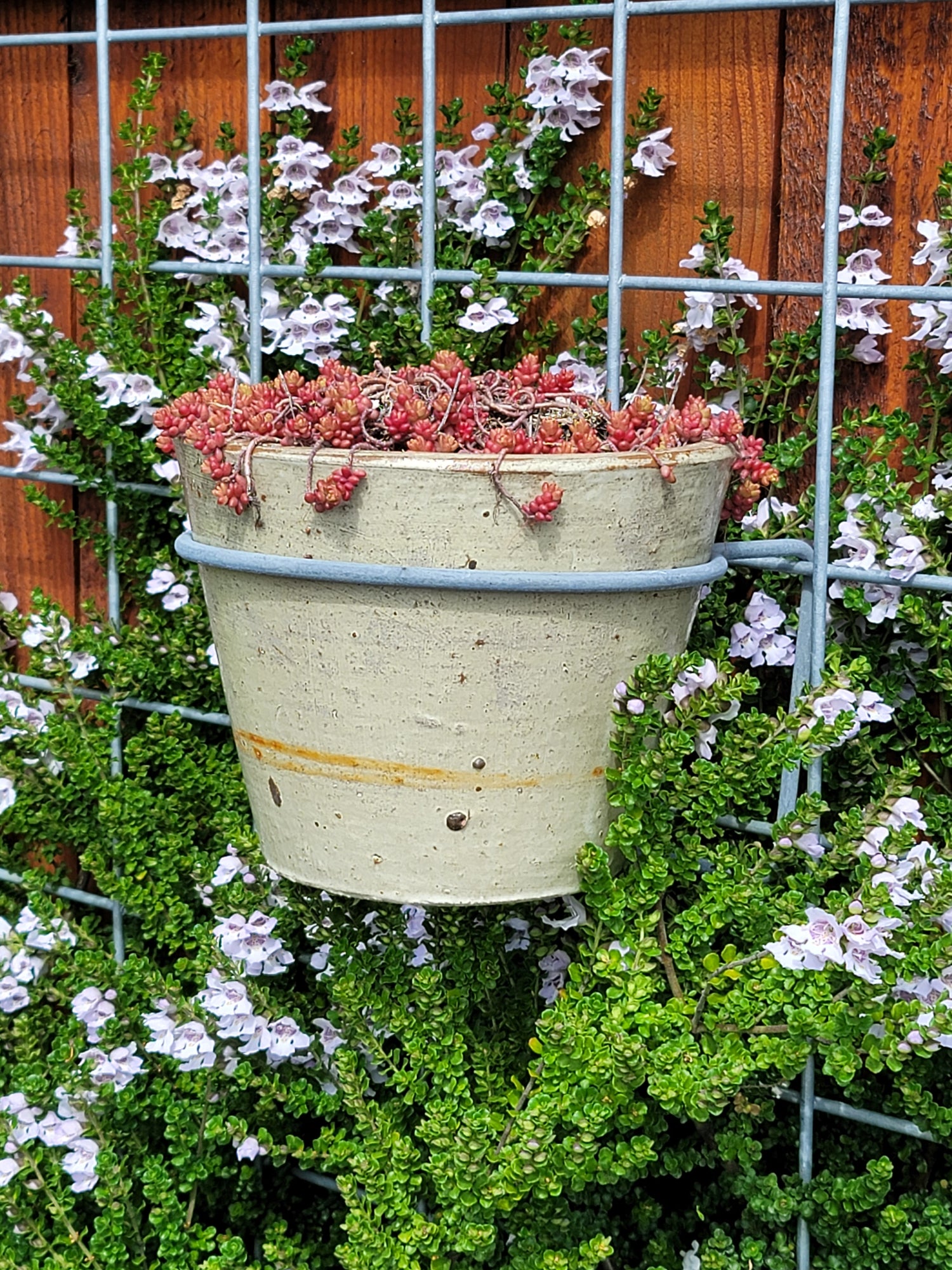 Shop Planters