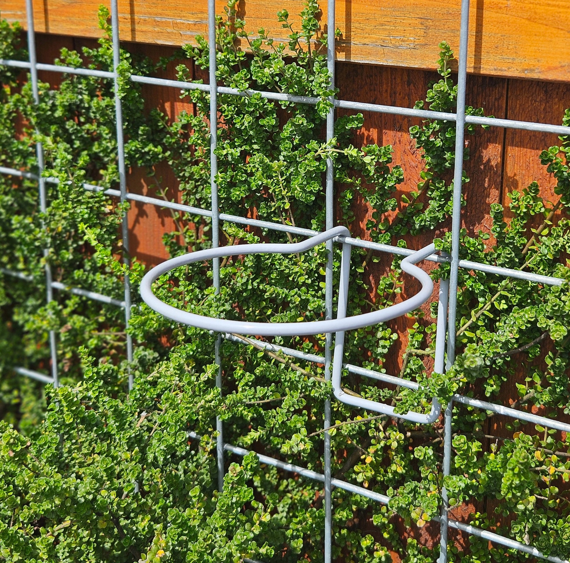 plant hanger wire Hog-Wire Planter Hanger- 6.5"