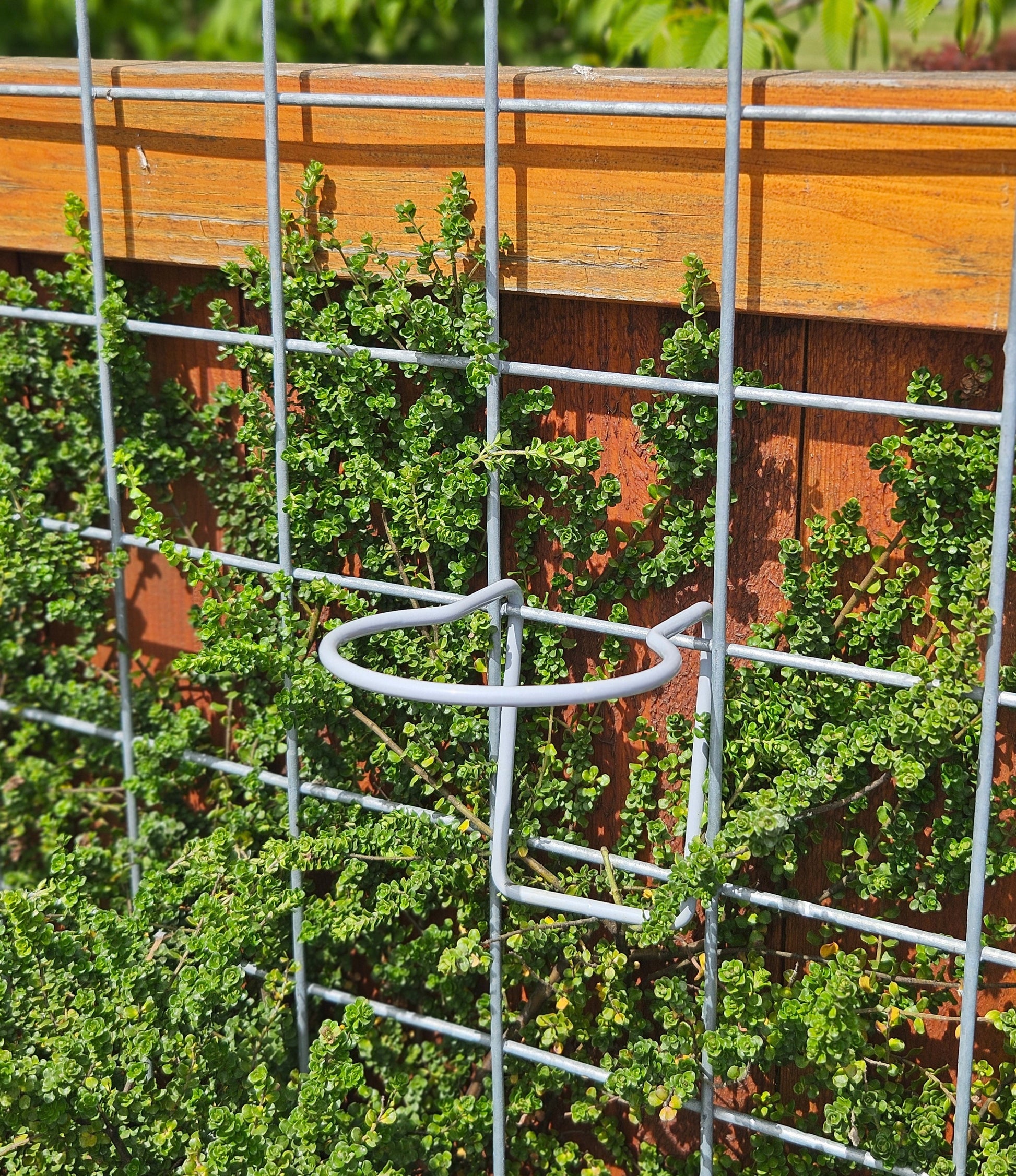 planter fence hanger Hog-Wire Planter Hanger- 4.5"