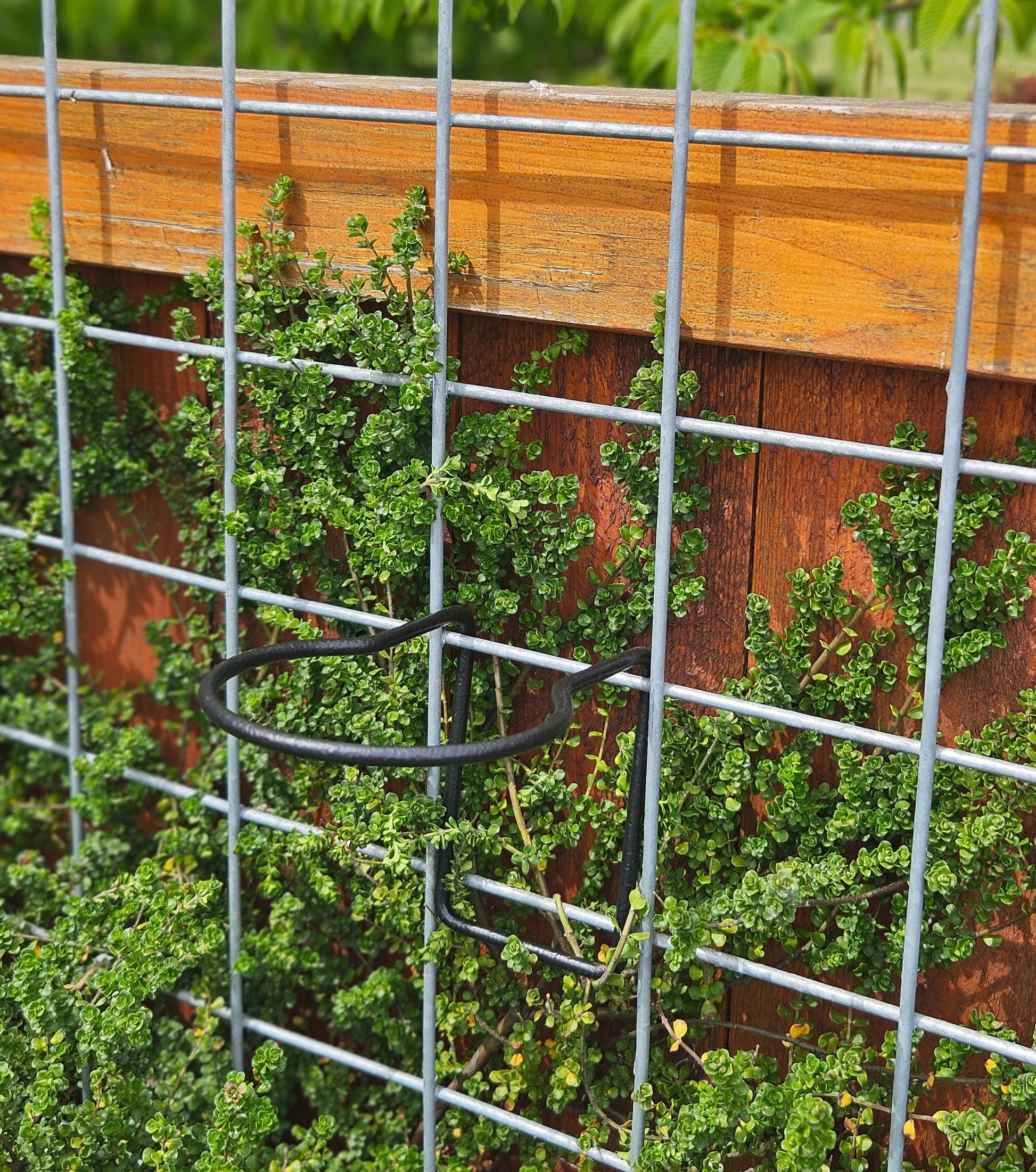 hanging wooden planter box Planter Hanger - 4.5"