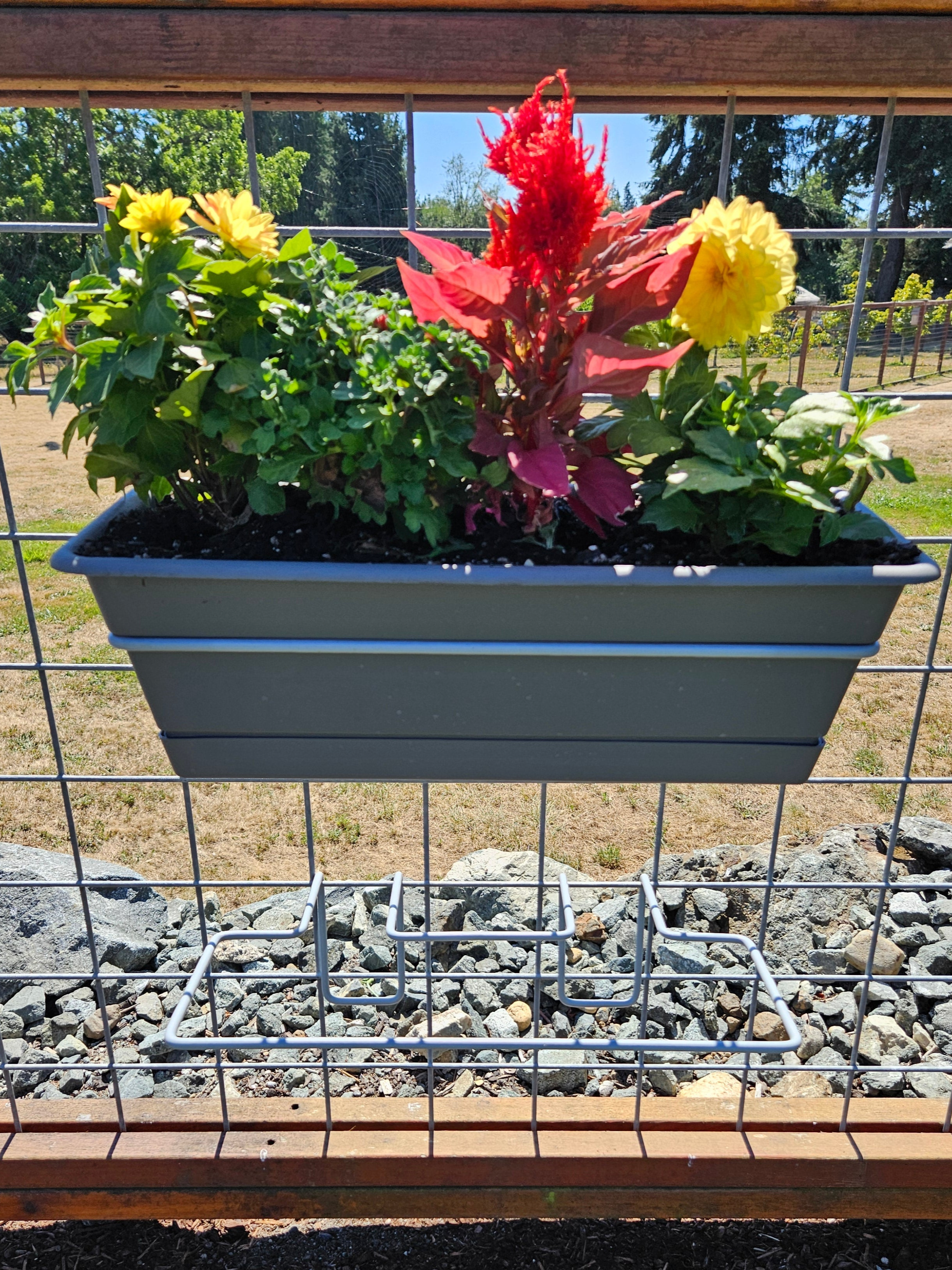 Dura Cotta Rectangular Planter - 18"-TLR Creations