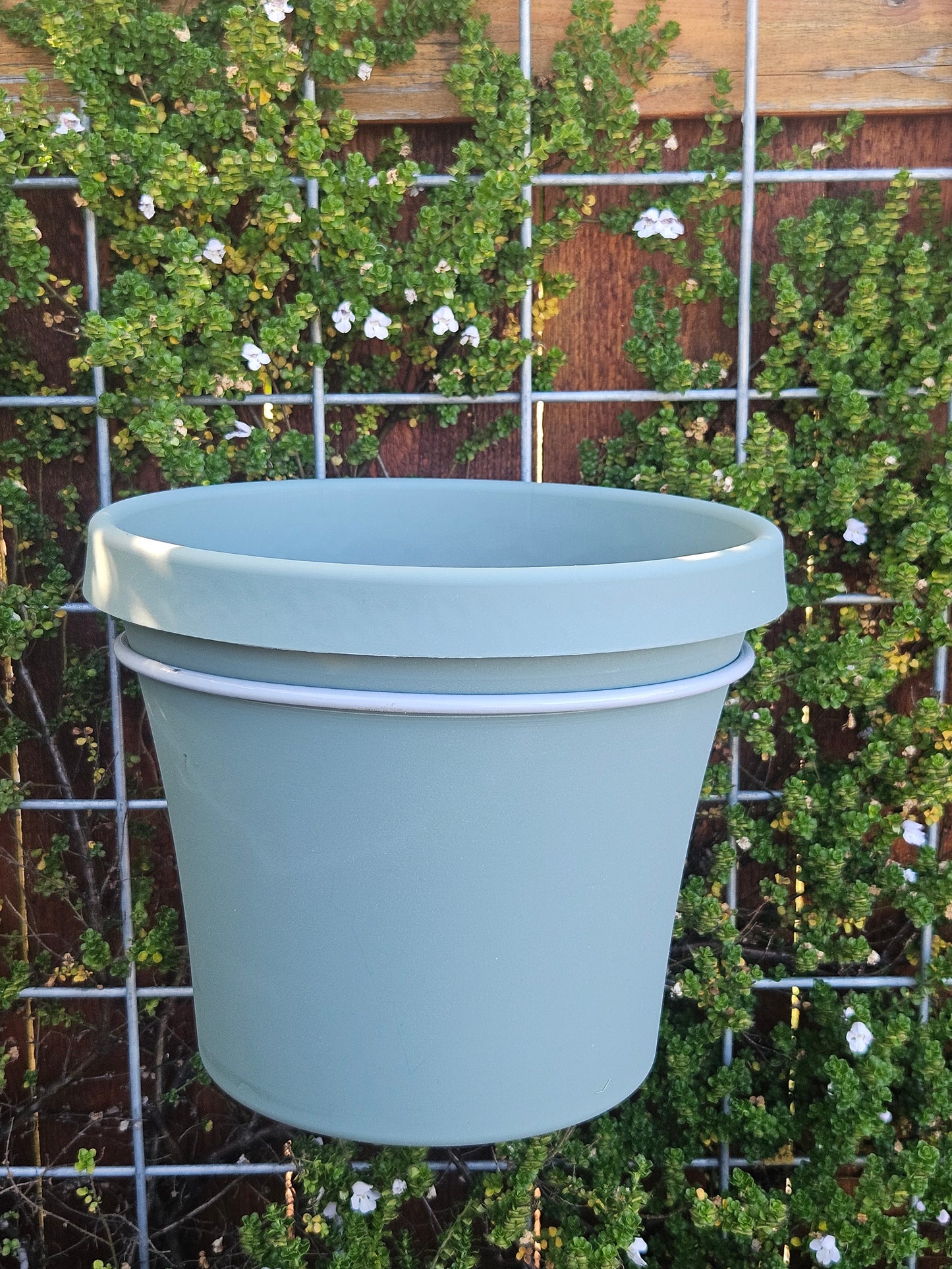 Terra Living Planter - 10"