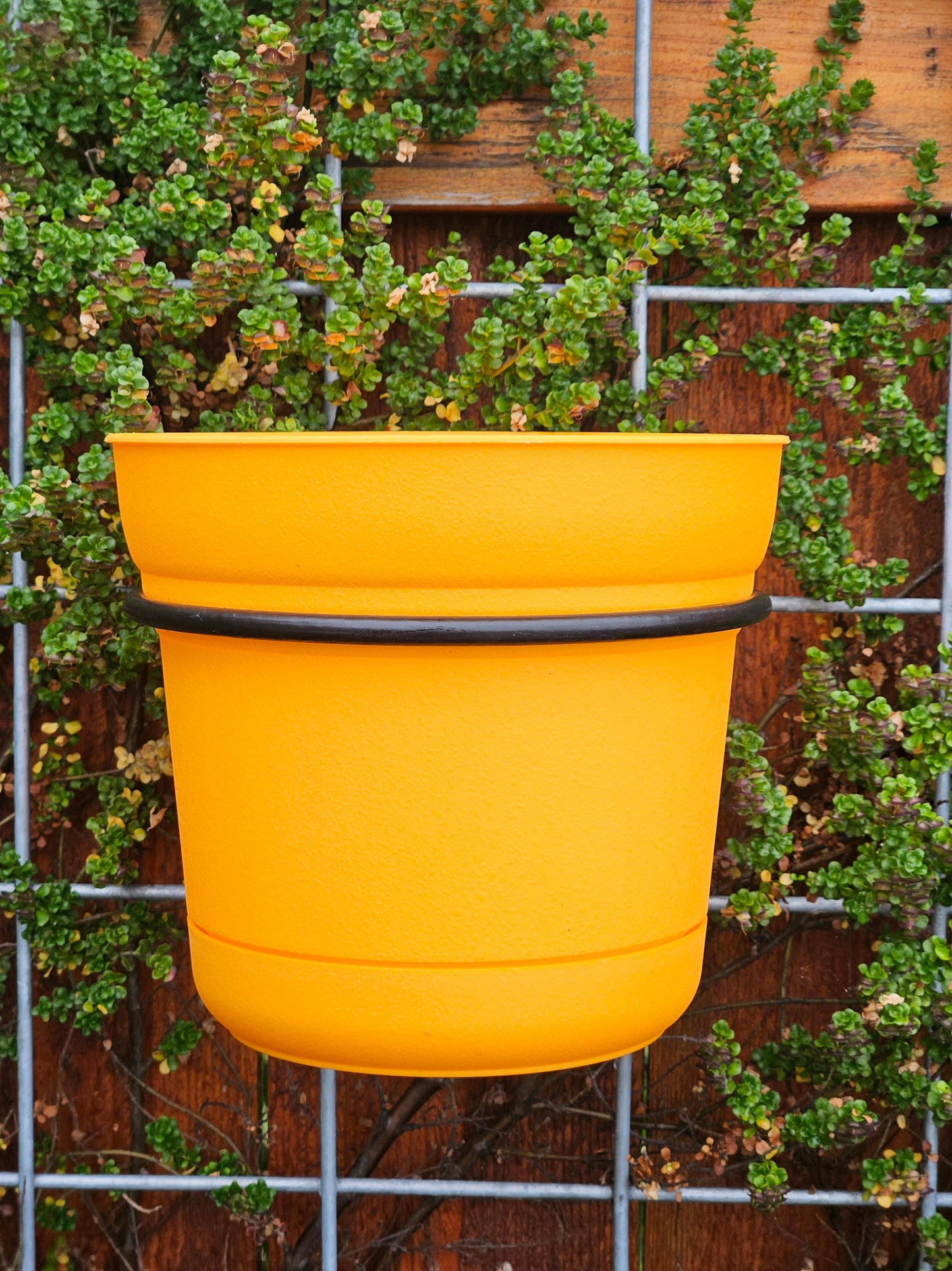 Saturn Planter - 10"